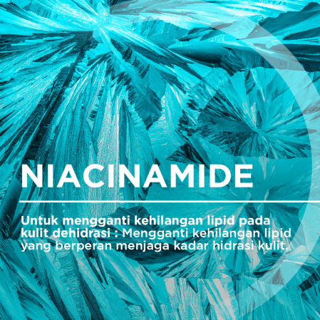 Bioderma Hydrabio Niacinamide Visual